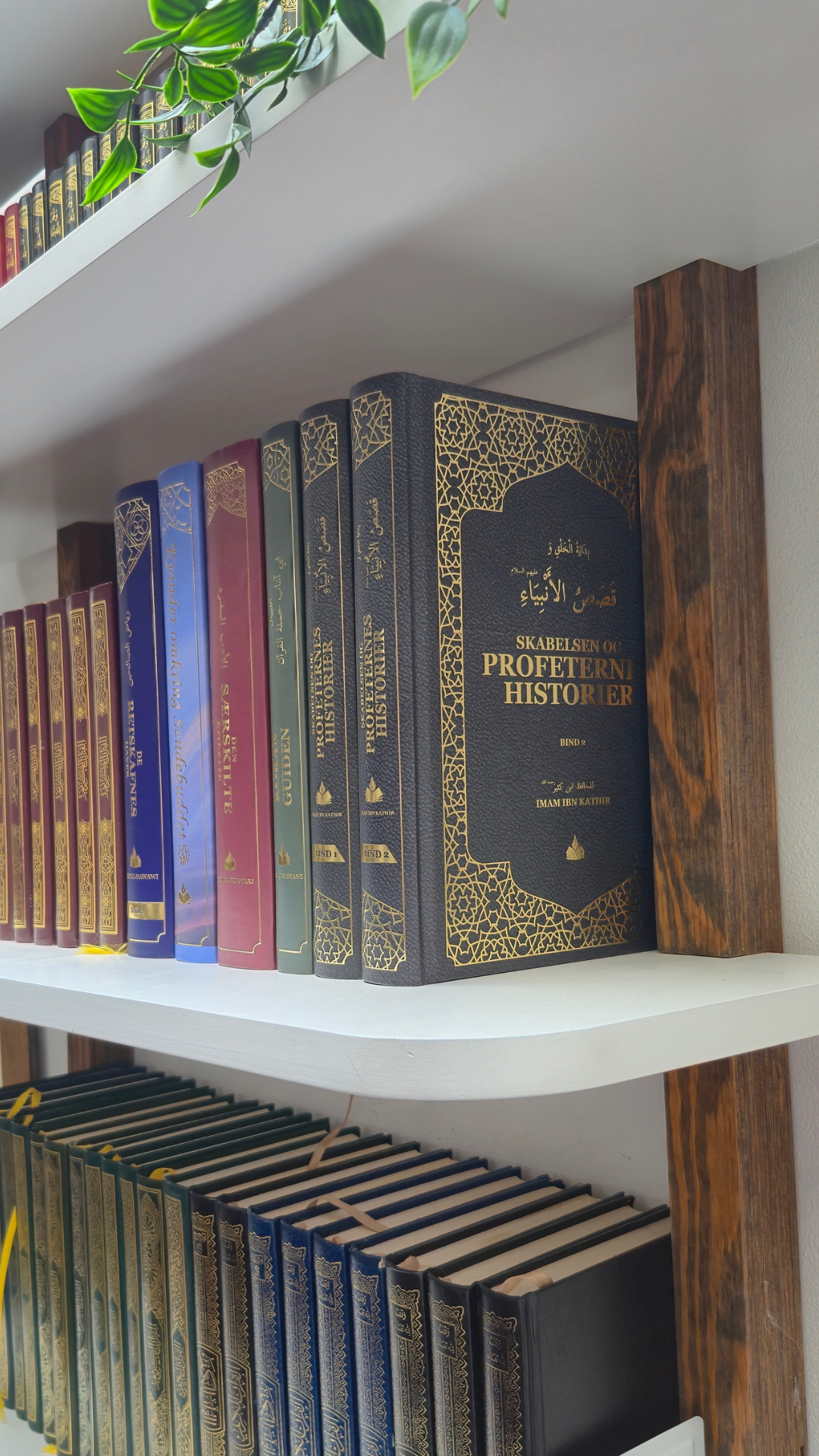 Skabelsen og Profeternes historier af Ibn Kathir Bind 1